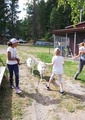 Kyyhkyrinteen kesäleiriltä tunnelmia